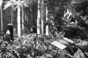 Garden of Eden