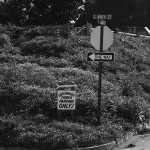 Which Way?
