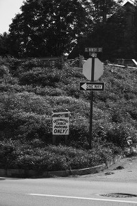 Which Way?