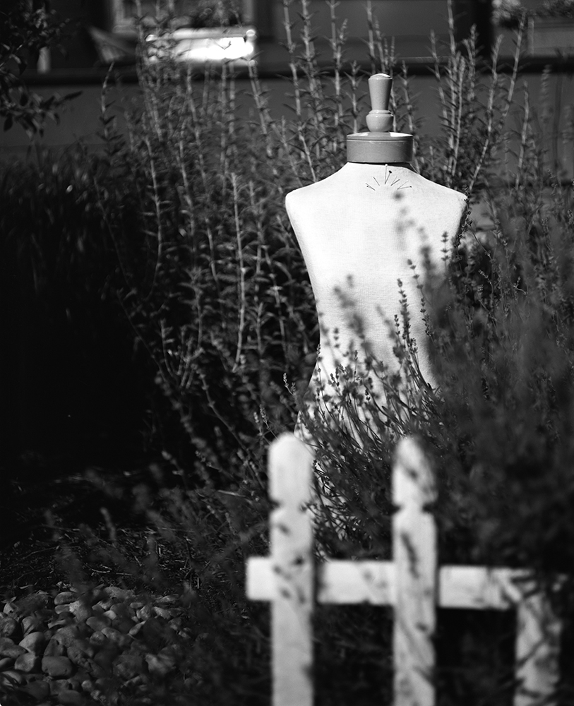 untitled #11, From the body of work SHE