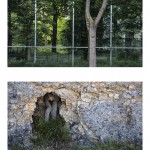 Trees Diptych