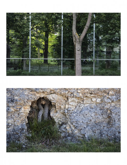 Trees Diptych