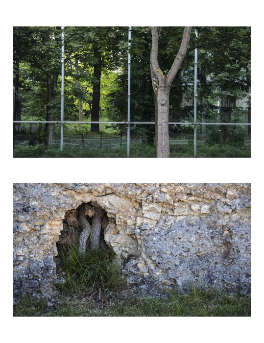 Trees Diptych