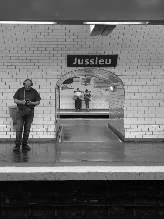 Jussieu